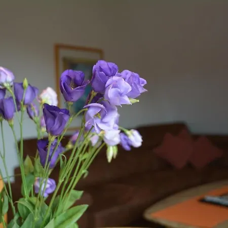 Up Suederduen 7 Up Suederduen 7 Lejlighed Norderney