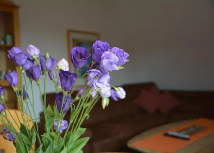 Up Suederduen 7 Up Suederduen 7 公寓 诺德奈